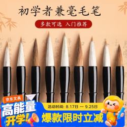 录学记 中号毛笔书法专用兼毫练字开学季套装初学者入门文房四宝大小中楷隶书行篆国画小学生儿童幼儿成人