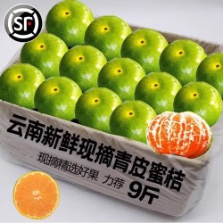 云南 蜜橘早熟黄橘子新鲜水果9斤整箱绿皮蜜桔当季青皮酸桔子包邮3