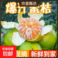 京东自营 云南蜜橘青皮新鲜橘子当季水果应季现摘蜜桔子柑橘柑整箱酸甜多汁 2斤 50-55mm净重1.8斤