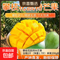 京喜 凯特芒软糯香甜应季水果青皮打脸芒当季整箱l 攀枝花凯特大芒果 含箱2斤（净重1.7斤）
