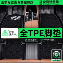 车丽友 定制TPE汽车脚垫全包围适用于问界m6/m7速腾l奥迪a4l星瑞e5风云t9