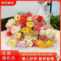 京东鲜花 随机玫瑰鲜切花盲盒云南基地直发办公室水养插花10枝源头直发