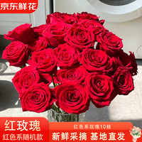 京东鲜花 红玫瑰随机单头玫瑰10枝情侣送礼生日鲜花送女友冷链包邮源头直发