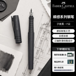 辉柏嘉 德国顺感学生钢笔 儿童钢笔文具礼盒 子夜黑F尖241033