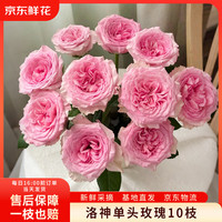 京东鲜花 洛神玫瑰10枝鲜切花室内家居水养插花送礼纪念日鲜花源头直发