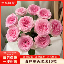 京东鲜花 洛神玫瑰10枝鲜切花室内家居水养插花送礼纪念日鲜花源头直发