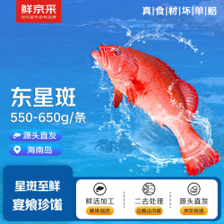 鲜京采 海南二去东星斑(净重550-650g/条)去鳃去脏 海鲜年货 源头直发