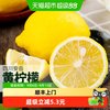 柠满园 四川安岳黄柠檬2斤新鲜当季大果皮薄肉厚自然成熟浓浓果香