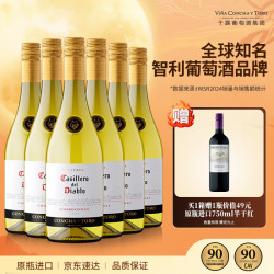 红魔鬼 干露酒庄中央山谷霞多丽干型白葡萄酒 6瓶