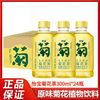 怡宝 至本清润低糖菊花茶经典风味瓶装植物饮料
