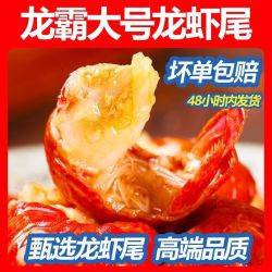 龙霸 大号小龙虾尾 310g 110-130颗/斤 冷冻鲜剥