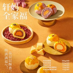 轩妈 蛋黄酥 990g 休闲食品