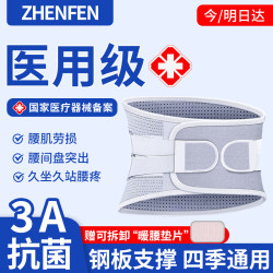 振奋 医用护腰带腰间盘突出腰肌劳损钢板支撑椎腰托久站久坐束腰ZFHY01 中