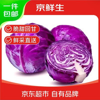 京鲜生 山东新鲜紫甘蓝净重3斤单果200g+卷心菜甘蓝 新鲜蔬菜源头直发