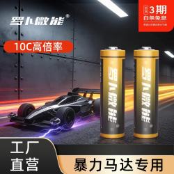 罗卜微能 升级10C倍率四驱车专用 5号充电电池*8节(无充电器)