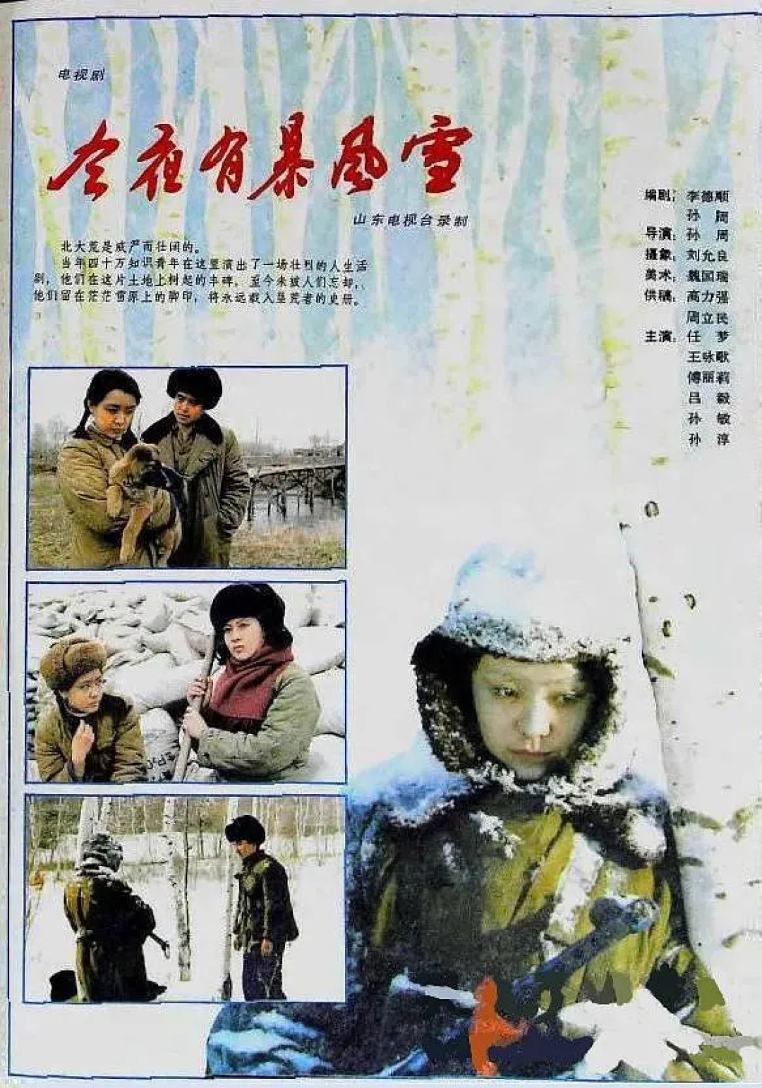 今夜有暴风雪 海报