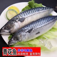 安峰山新鲜青占鱼鲐鱼鲐鲅鱼鲜活海鲜水产食堂 优选 【一条约半斤-1斤左右】3斤