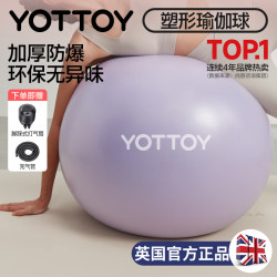 YOTTOY 瑜伽球加厚防爆球成人普拉提瑜伽器材平衡球 意念紫 65cm