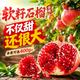 今鲜果 软籽石榴 净重4.5斤