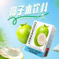 佳果源 佳农旗下椰子水饮料200ml*12盒便携轻享装 畅快补水口感清爽 200ml*12盒