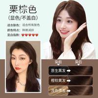 韩金靓 新彩色 植物 染发剂  染护合一   栗棕色 180ml