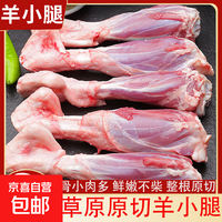 京喜 原切内蒙古羊小腿羊腱子羊腿羊肉儿童火锅生鲜食材批发减脂餐 原切羊小腿净重3斤 国产