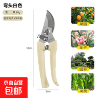 不锈钢树枝修枝剪采摘水果花木剪园林果树花卉枝嫁接园艺剪刀工具 修枝剪