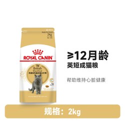 皇家 BSK38英国短毛猫幼猫猫咪干粮