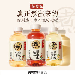元气森林 500ml*20瓶 (红豆薏米*10+红枣枸杞*5+金银花雪梨*5)