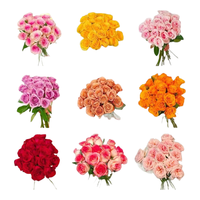 芊芊细语 玫瑰鲜花 40支 家庭水养插花