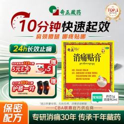 奇正 藏药 消痛贴膏1贴/袋*2贴/盒膏药