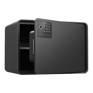 得力 AE223-Z 指纹解锁 黑色 25cm 保险柜
