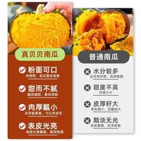 京觅 山东贝贝南瓜 单果300g+ 净重5斤