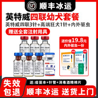 英特威 四联狗狗疫苗幼犬套餐+驱虫 3瓶*1瓶