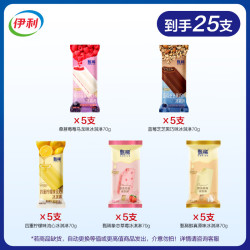 伊利 冰淇淋雪糕 共25支（1750g)