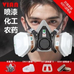 vian 防毒面具防尘毒套装喷漆专用防化工气体工业粉尘 620P套装