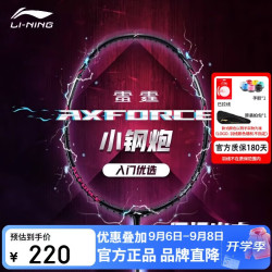 李宁 羽毛球拍雷霆小钢炮穿线单拍进攻型入门拍5U穿线AYPT307 黑色 5U  穿线