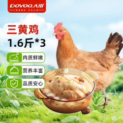 大用 三黄鸡 净重1.6斤*3只 冷冻 散养鸡走地鸡煲汤食材 清真食品