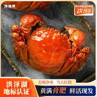 添渔港 洪泽湖认证大闸蟹 每只都有溯源码 中秋礼盒送礼
公 3.3-3.5 两母 2.8-3.0两 5 对 10只