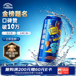 千岛湖啤酒 乐享醉美时光 啤酒 500ml*24听