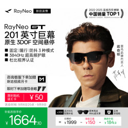 雷鸟 RayNeo 雷鸟创新 GT XRGF40 AR智能眼镜 （120Hz、1920*1080)