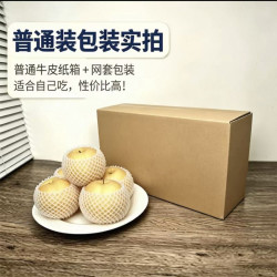 京运达 正宗山东秋月梨子现摘应当季新鲜水果中秋礼盒整箱非莱阳 2.7斤*1箱