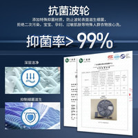 威力 8kg公斤洗衣机全自动波轮家用大容量小型量衣进水XQB80-1999J