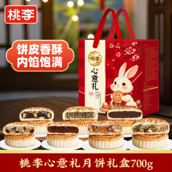 桃李 心意礼月饼礼盒传统老式糕点五仁什锦黑芝麻中秋节日团购批发700g