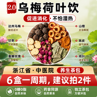 鲜丰春 乌梅荷叶饮2.0plus浙江.中医药院减肥肚子排油调脂茶包3盒