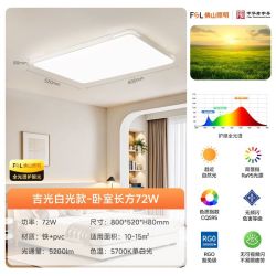 佛山照明吸顶灯