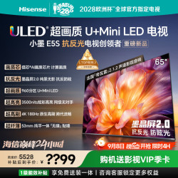 海信 小墨系列 65E5S 液晶电视 65英寸
