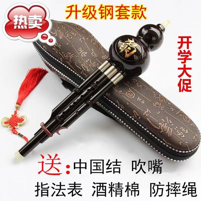 葫芦丝乐器降B调带皮盒初学少年儿童成人学习演奏
