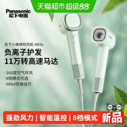 Panasonic EH-NE6L 负离子速干 电吹风机