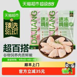 天猫超市 大江 速冻鸡翅中 1kgx2袋